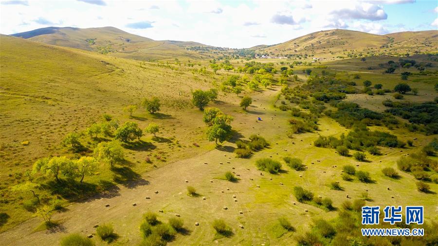 （在習(xí)近平新時(shí)代中國(guó)特色社會(huì)主義思想指引下&mdash;&mdash;新時(shí)代新作為新篇章&middot;習(xí)近平總書記關(guān)切事&middot;圖文互動(dòng)）（4）綠意，在黃沙中鋪展&mdash;&mdash;我國(guó)防沙治沙紀(jì)實(shí)