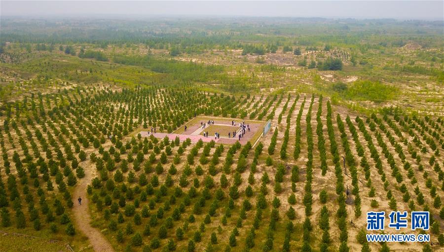 （在習(xí)近平新時(shí)代中國(guó)特色社會(huì)主義思想指引下&mdash;&mdash;新時(shí)代新作為新篇章&middot;習(xí)近平總書記關(guān)切事&middot;圖文互動(dòng)）（2）綠意，在黃沙中鋪展&mdash;&mdash;我國(guó)防沙治沙紀(jì)實(shí)