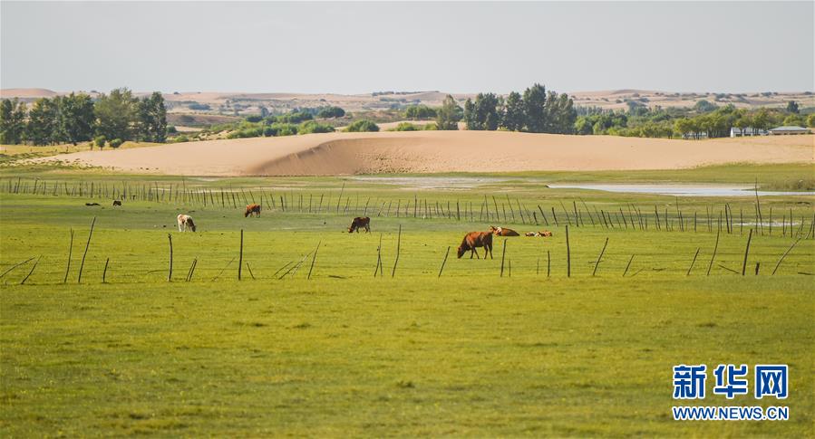 （在習(xí)近平新時(shí)代中國(guó)特色社會(huì)主義思想指引下&mdash;&mdash;新時(shí)代新作為新篇章&middot;習(xí)近平總書記關(guān)切事&middot;圖文互動(dòng)）（9）綠意，在黃沙中鋪展&mdash;&mdash;我國(guó)防沙治沙紀(jì)實(shí)