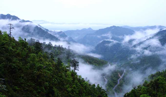 廣東乳源、廣東乳陽(yáng)林場(chǎng)、云南華寧葫蘆口電站