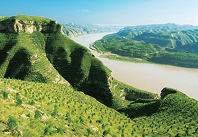 張建龍：&ldquo;三北工程&rdquo;實(shí)現(xiàn)生態(tài)、經(jīng)濟(jì)、社會(huì)效益&ldquo;多贏&rdquo;