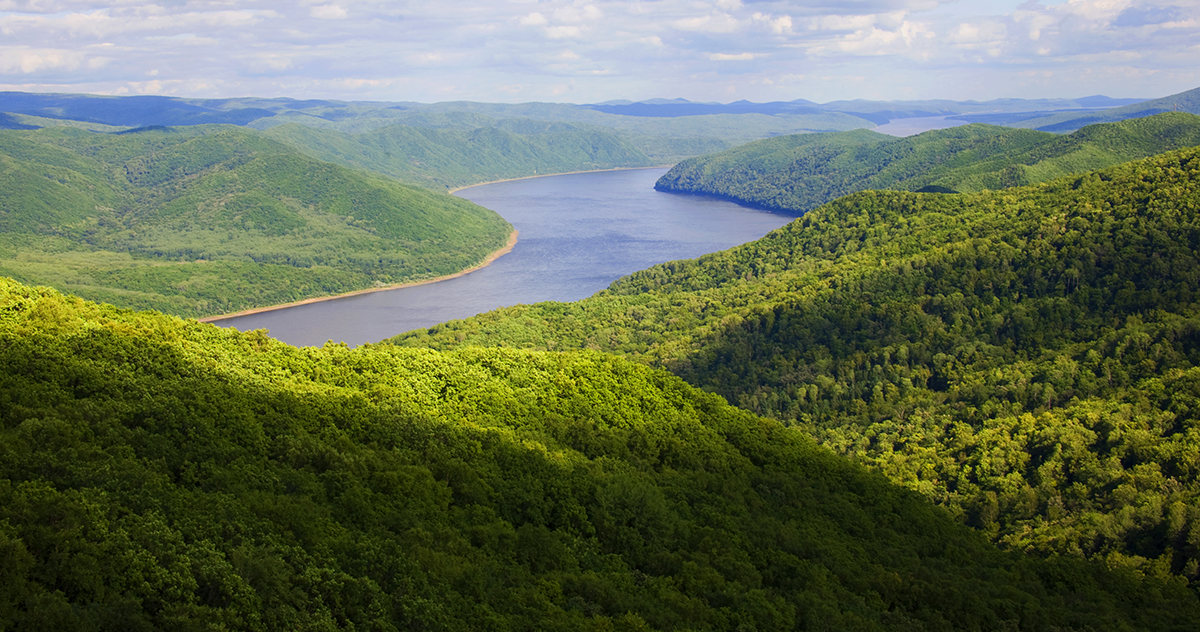 張建龍：&ldquo;三北工程&rdquo;實(shí)現(xiàn)生態(tài)、經(jīng)濟(jì)、社會(huì)效益&ldquo;多贏&rdquo;