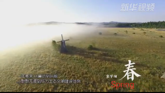 塞罕壩：那一抹綠色，走進(jìn)越來越多人心里