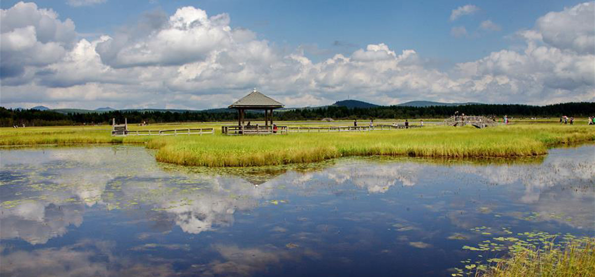 那一抹綠色，走進越來越多人心里&mdash;&mdash;河北塞罕壩續(xù)寫新時代綠色傳奇