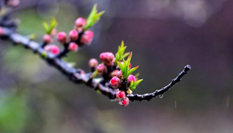 隨心而行，走走停停始終精彩。