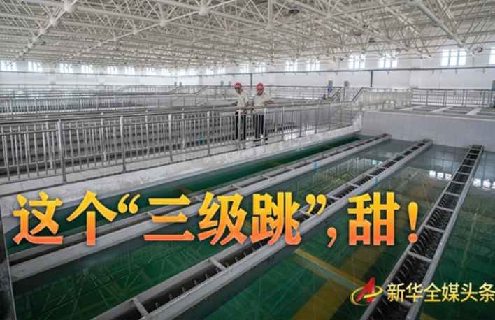 這個&ldquo;三級跳&rdquo;，甜！