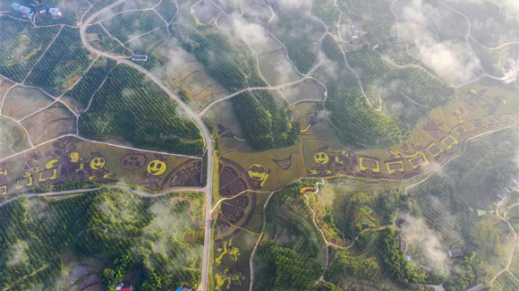 百城千縣萬村調(diào)研行｜在三峽橘鄉(xiāng)，遇見最美的田園時光！