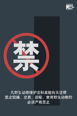 向非法野生動(dòng)物交易、濫食野生動(dòng)物陋習(xí)亮劍