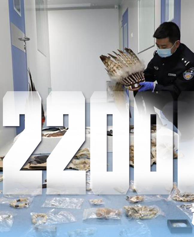 抗疫有&ldquo;法&rdquo;，就是這么給力！