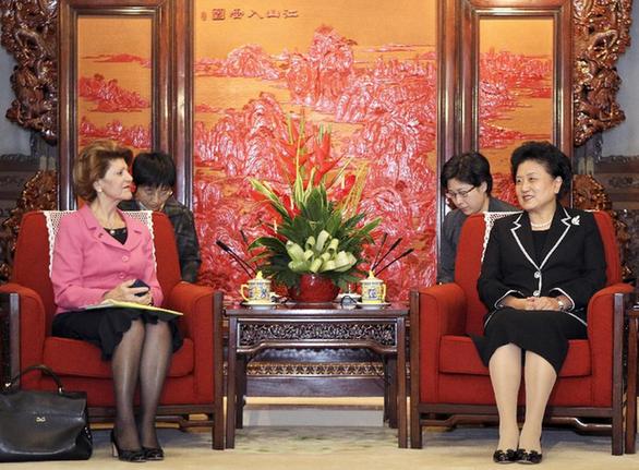 劉延?xùn)|會見歐盟委員會教育、文化、語言多樣性及青年事務(wù)委員瓦西利烏