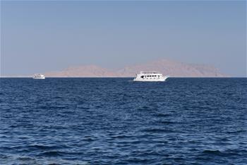 埃及總統(tǒng)批準向沙特&ldquo;還島&rdquo;協(xié)議