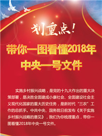 劃重點！帶你一圖看懂2018年中央一號文件