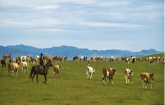 華能北方公司：奔小康，咱肯定能