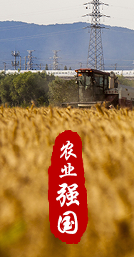 農(nóng)業(yè)強(qiáng)國(guó)是社會(huì)主義現(xiàn)代化強(qiáng)國(guó)的根基。