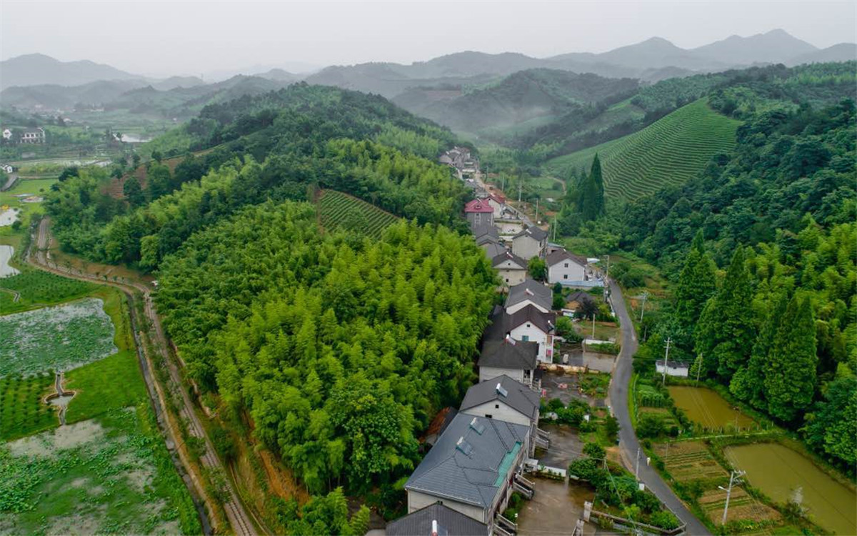 從2003年起，浙江省開展了&ldquo;千村示范、萬村整治&rdquo;工程