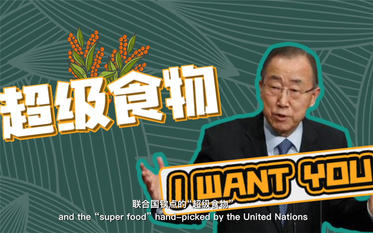 聯(lián)合國(guó)將藜麥視為抗擊饑餓的&ldquo;超級(jí)食物&rdquo;，大力推廣