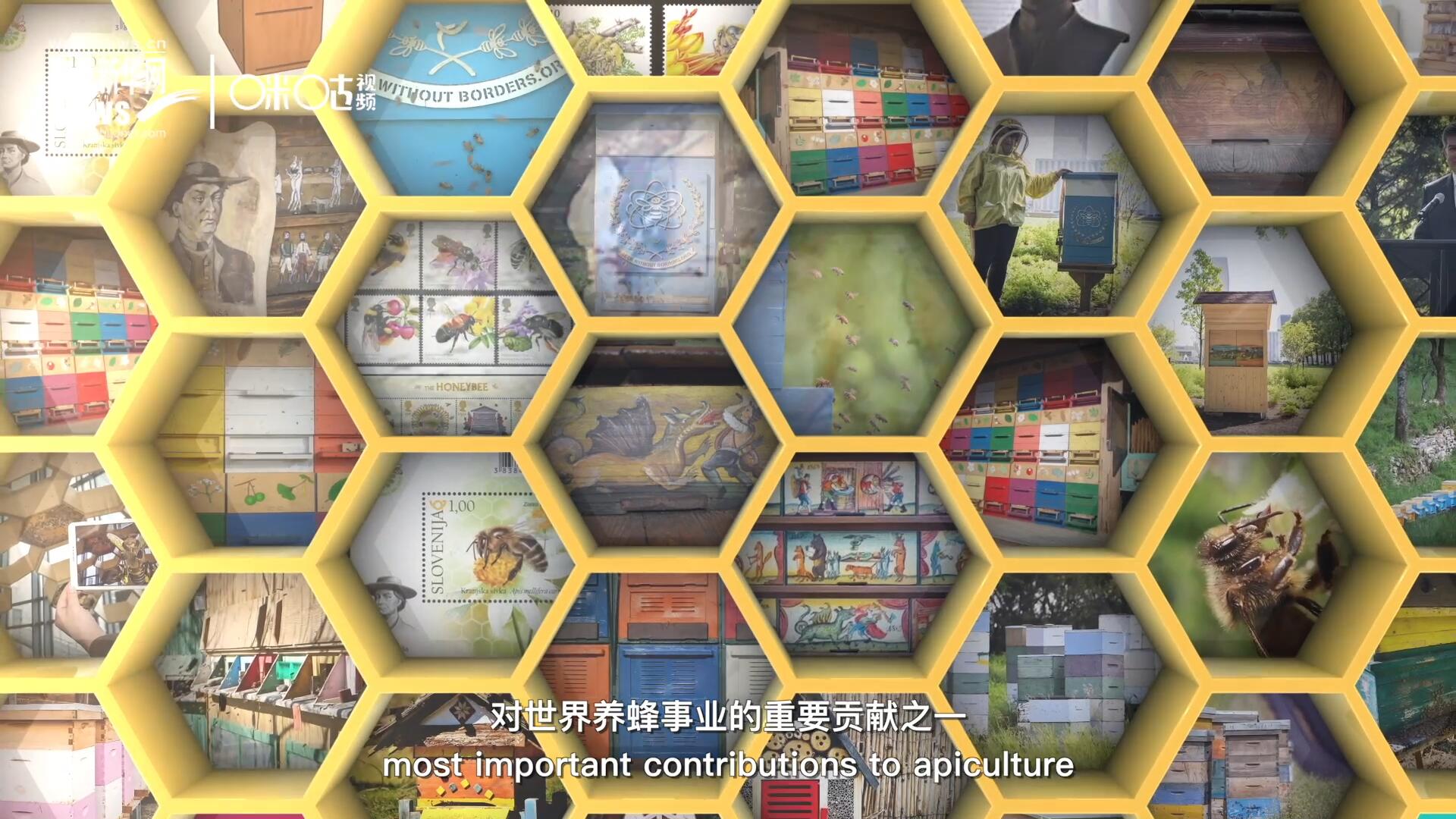 他開始用色彩豐富的畫作來裝飾蜂巢的前板，幫助不同蜂群按照習(xí)性和顏色順利找到自己的蜂巢