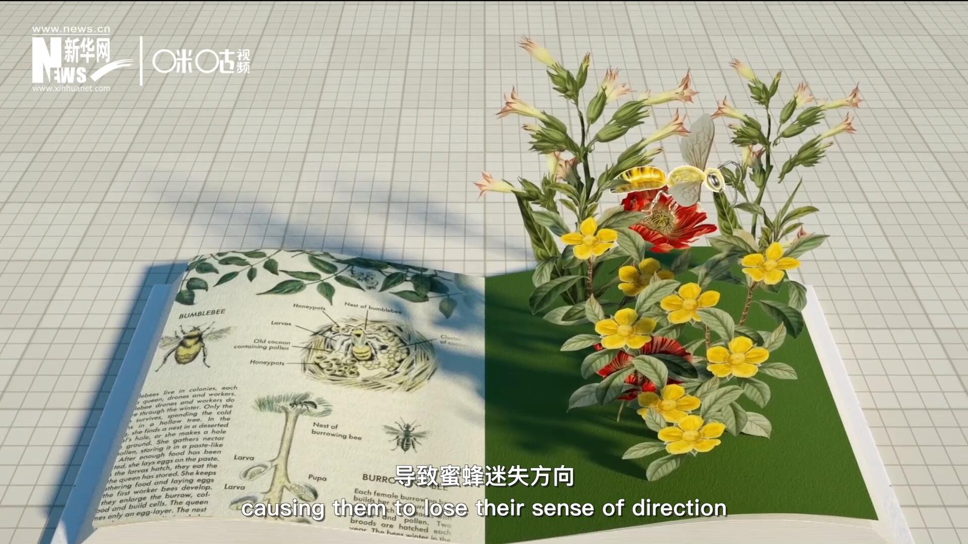 殺蟲劑會破壞蜜蜂的神經(jīng)系統(tǒng)，導(dǎo)致蜜蜂迷失方向，無法回到蜂房，還會降低蜜蜂的抵抗力