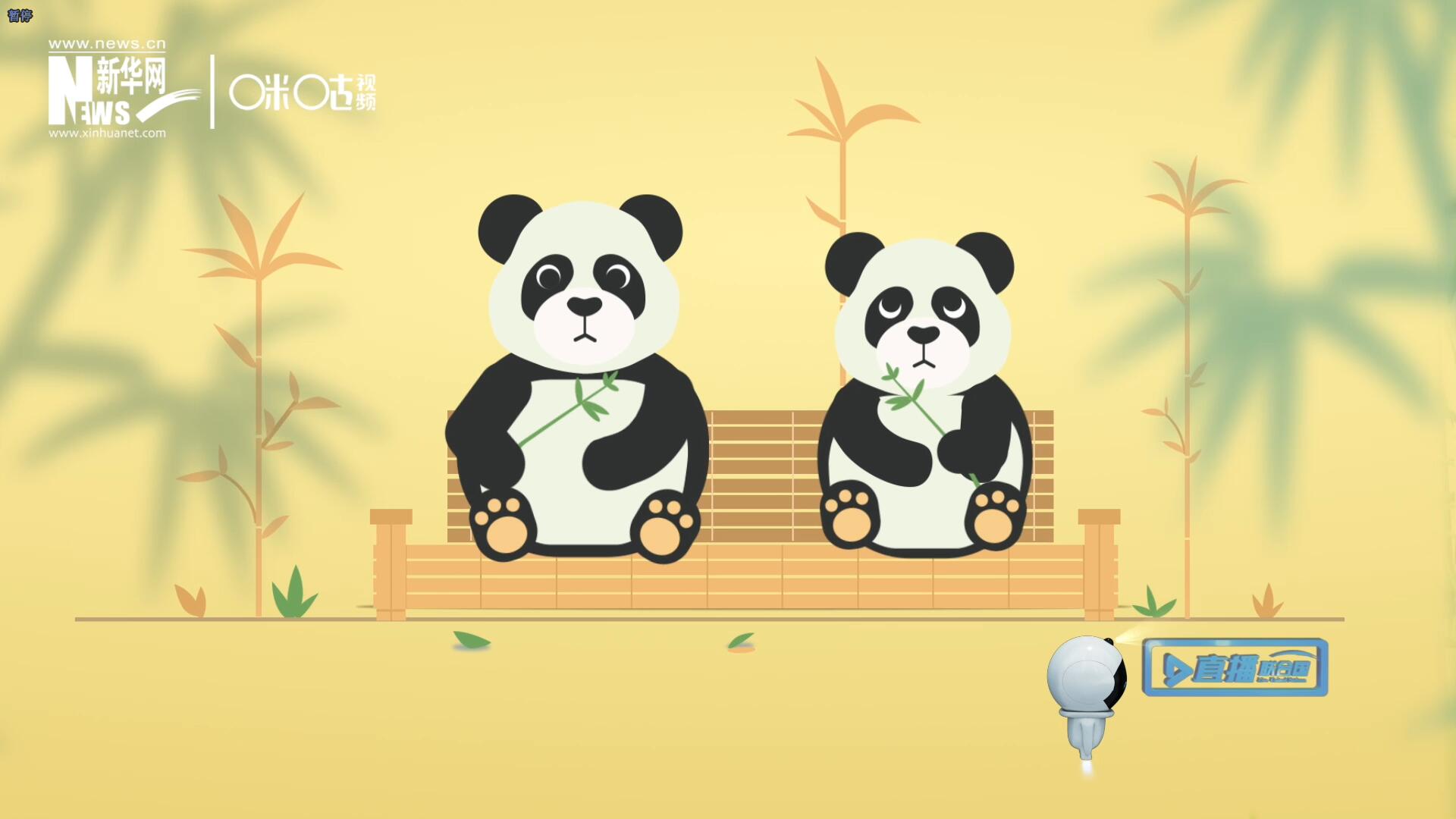 &ldquo;哥哥你看，又有人來看我們了。&rdquo;&ldquo;有什么奇怪的，我們可是聯(lián)合國&lsquo;最萌&rsquo;的大使啊！&rdquo;。