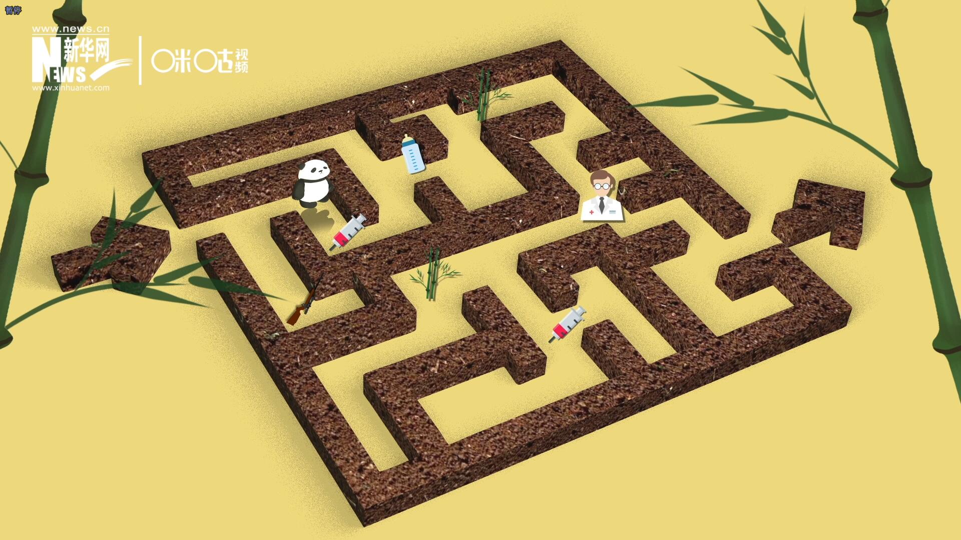 2016年，國際自然保護聯(lián)盟將大熊貓的物種瀕危等級，從&ldquo;瀕危&rdquo;下降到了&ldquo;易危&rdquo;。