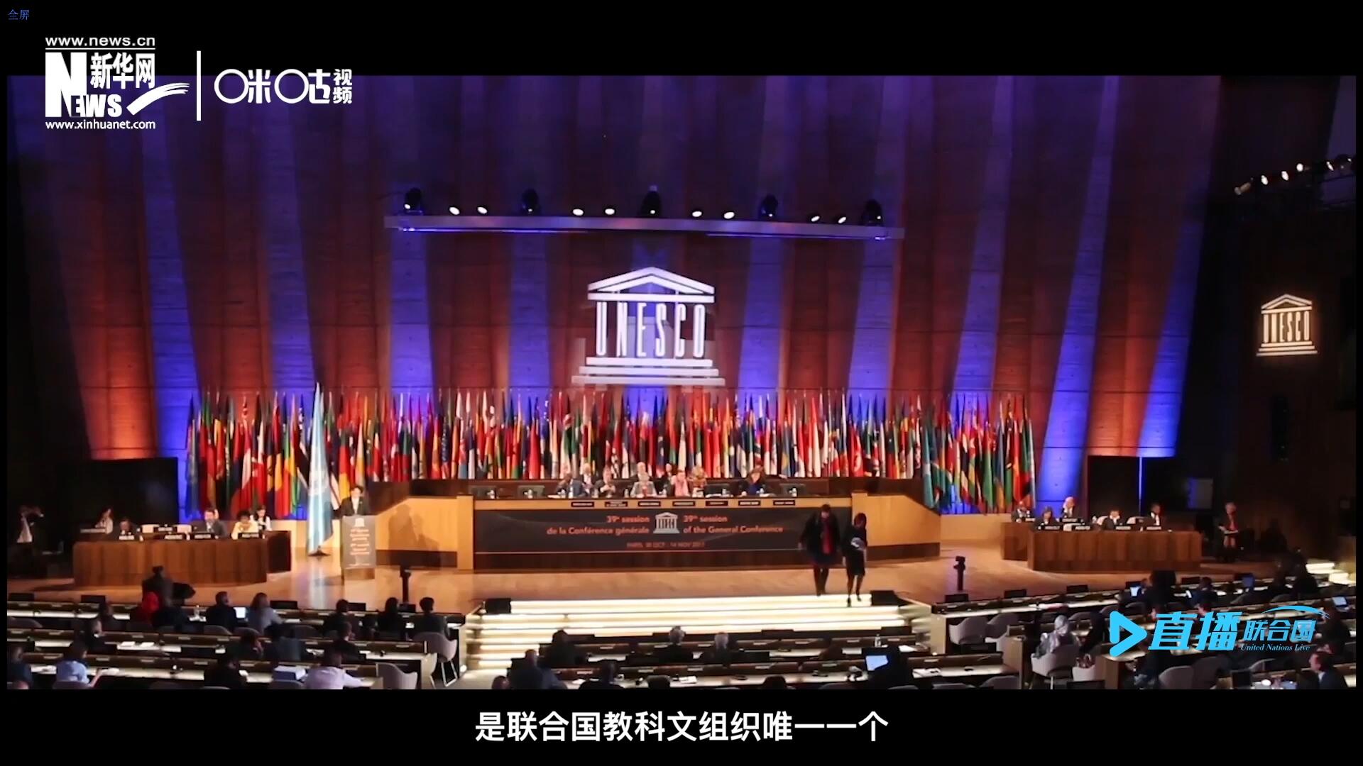 民間藝術(shù)國(guó)際組織成立于1979年，是聯(lián)合國(guó)教科文組織唯一一個(gè)以保護(hù)和挖掘國(guó)際民間藝術(shù)為工作中心的國(guó)際機(jī)構(gòu)。