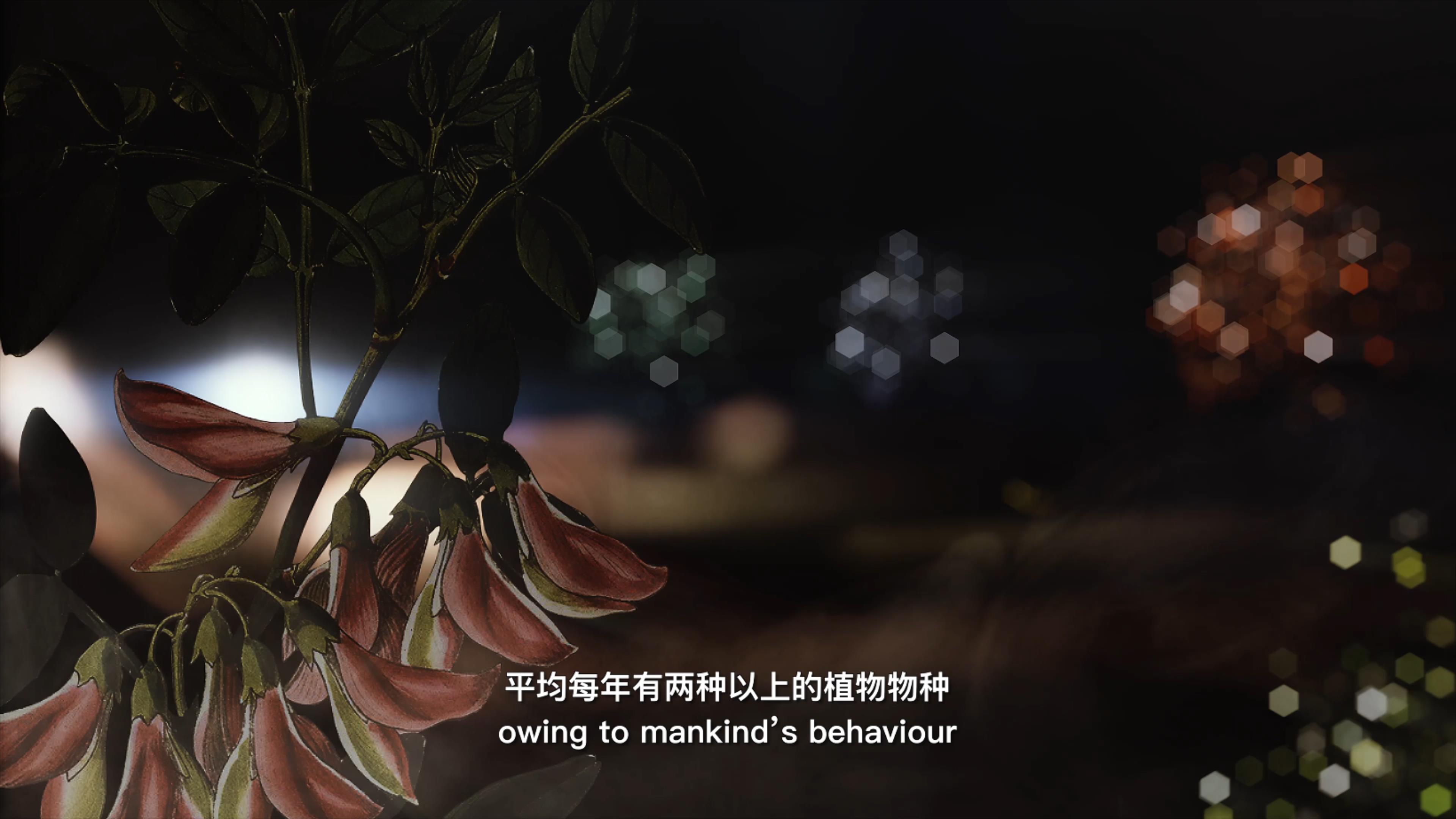 自18世紀(jì)中葉以來，許多植物物種因?yàn)槿祟惖脑蚨鴱牡厍蛏舷? />      
<div   id=