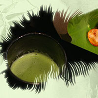 熱茶與伏天的關(guān)系，只有清涼