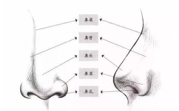 箭鼻矯正須知【成因、適宜人群、禁忌癥、手術(shù)原理、術(shù)前準(zhǔn)備、手術(shù)時(shí)間、恢復(fù)期】