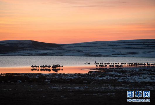 從全國(guó)兩會(huì)看&ldquo;中國(guó)家園&rdquo;
