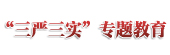 &ldquo;三嚴(yán)三實(shí)&rdquo;專(zhuān)題教育