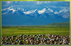 巴音布魯克草原