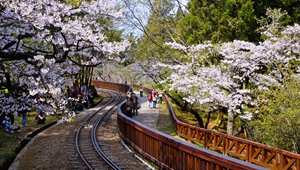 大陸對(duì)臺(tái)企臺(tái)胞送出&ldquo;大禮包&rdquo; 國臺(tái)辦：開放力度大前所未有