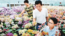 臺(tái)商眼中的改革開放：風(fēng)景這邊獨(dú)好 要去，要去，要去！