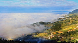 臺(tái)胞臺(tái)商熱議陜西惠臺(tái)&ldquo;60條&rdquo;：期盼落實(shí)、共享機(jī)遇