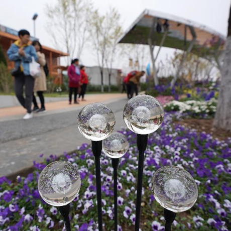 【畫(huà)重點(diǎn)】真假？！北京又要辦一場(chǎng)&ldquo;奧林匹克&rdquo;盛會(huì)