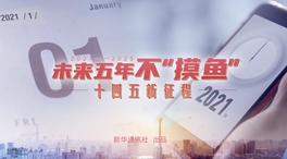 未來(lái)五年，不&ldquo;摸魚&rdquo;