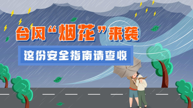 MG動畫：臺風(fēng)&ldquo;煙花&rdquo;來襲，這份安全指南請查收