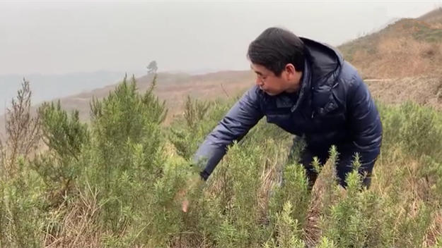 新春走基層｜脫貧后，駐村扶貧隊長在干啥？