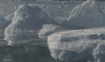 聯(lián)合國環(huán)境署發(fā)布全球環(huán)境報告：人類對自然的&ldquo;自殺式戰(zhàn)爭&rdquo;釀成三大危機