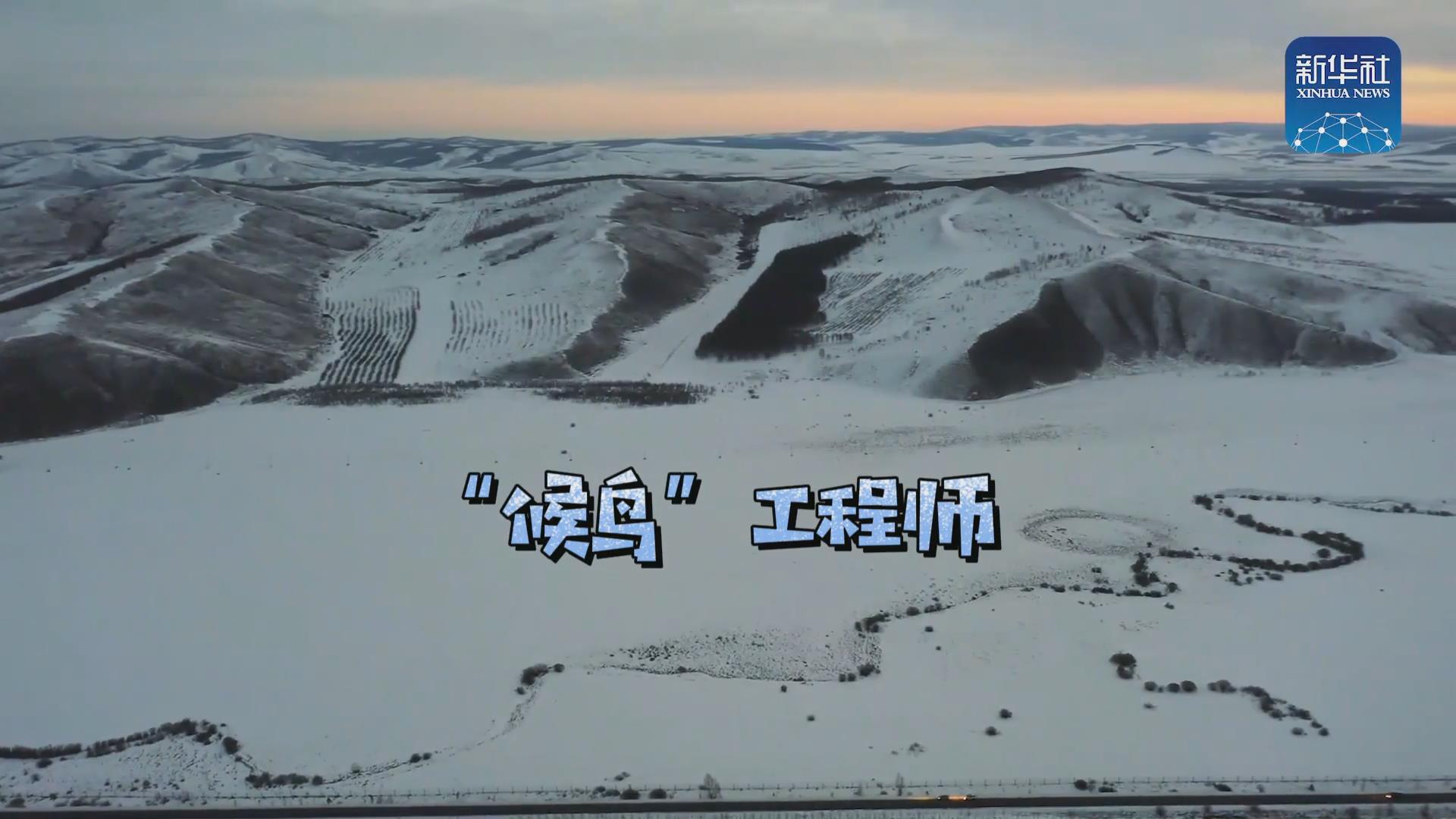 我們在奔跑丨一路向北！他是逆行的&ldquo;候鳥&rdquo;