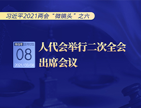 習(xí)近平2021兩會(huì)&ldquo;微鏡頭&rdquo;之六：人代會(huì)舉行二次全會(huì) 出席會(huì)議