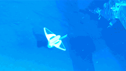 中國國產(chǎn)軟件機器魚&ldquo;打卡&rdquo;萬米深海溝