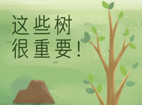 這些樹(shù)很重要!
