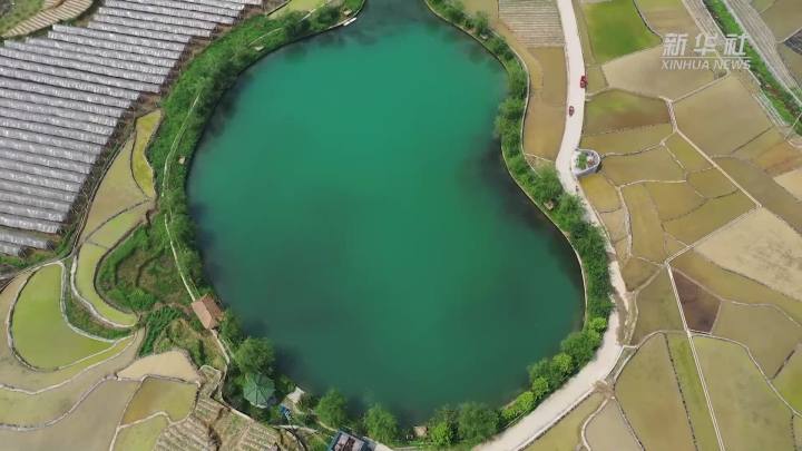 稻田新插，這里的山村美翻了！