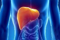 【健康解碼】轉(zhuǎn)氨酶輕度升高要不要緊？