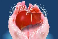 【健康解碼】轉(zhuǎn)氨酶正常肝臟就一定正常嗎？