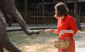 勐巴拉娜西！&ldquo;洋記者&rdquo;帶你游西雙版納