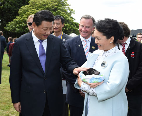 11月18日，國家主席習近平在澳大利亞塔斯馬尼亞州與朗塞斯頓市斯科奇－歐克伯恩小學的小學生共同植樹。這是習近平和夫人彭麗媛植樹后撫摸袋獾。新華社記者 馬占成 攝