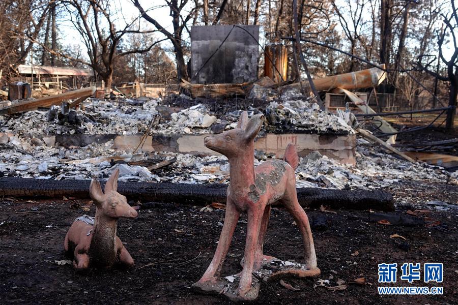 （國際&middot;圖文互動）（6）一場山火，讓這個冬天格外冷&mdash;&mdash;探訪美國加州山火災(zāi)區(qū)