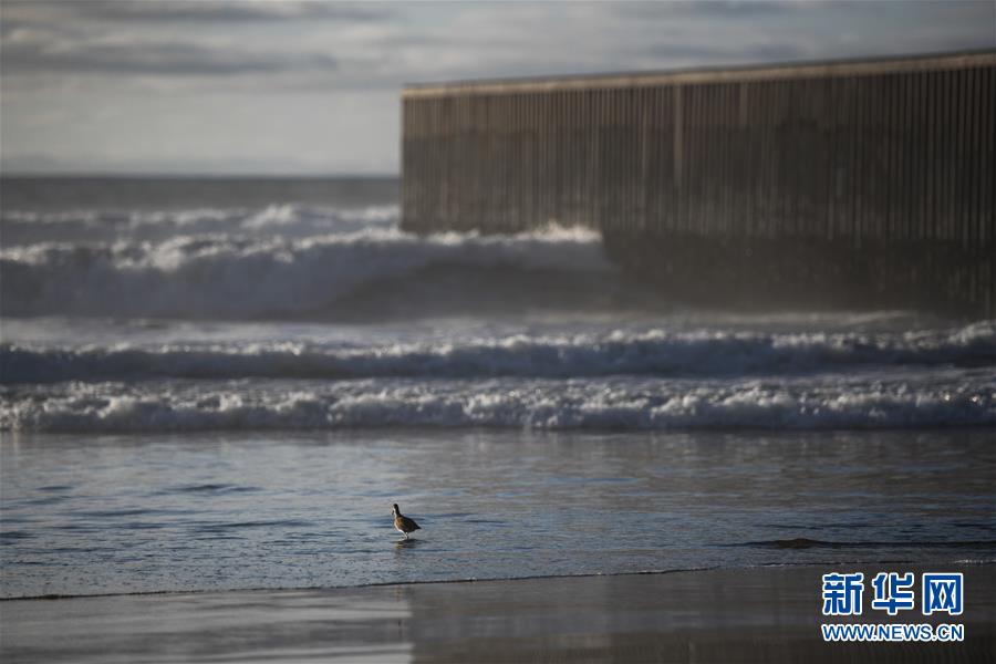 （國際）（4）美墨邊境墻，從這里開始
